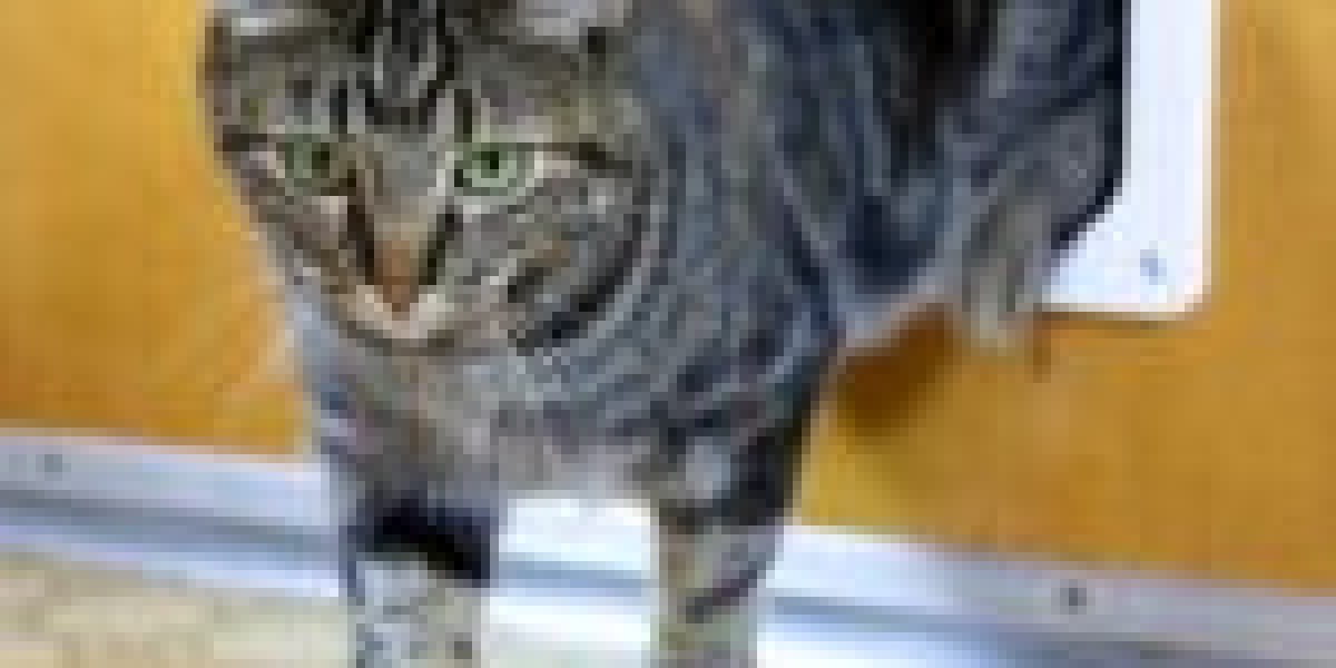 20 Myths About Cat Flap Installation Tips: Busted