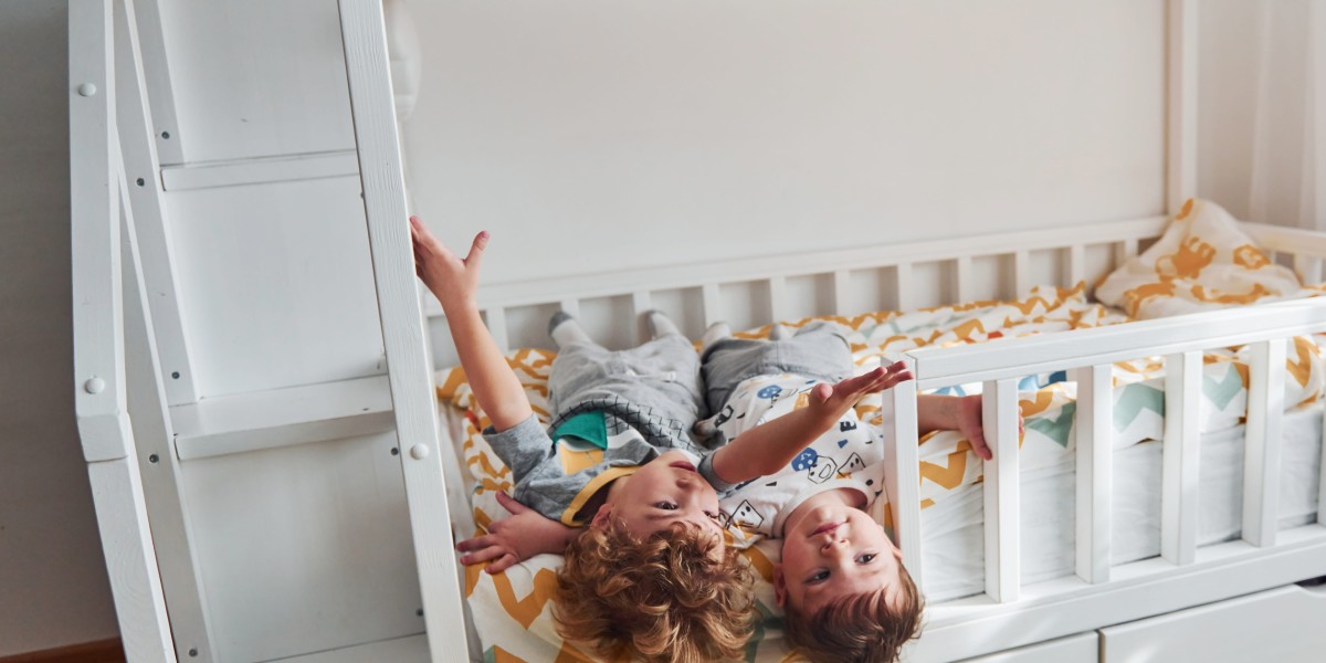 Is Bunk Bed For Adults The Greatest Thing There Ever Was?